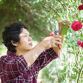 Groom to Grow: Developing Next Generation Leadership Inside Your Nonprofit 