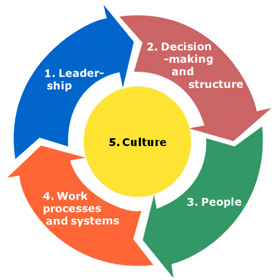 Key Elements Of Effective Organizations Bridgespans Organization Wheel Key Elements Of Effective Organizations Bridgespans Organization Wheel
