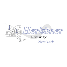herkimer county needle collaboratives moving follow three york year bridgespan logo