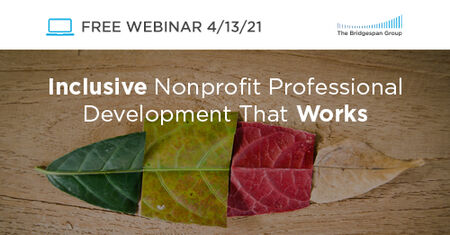 inclusive nonprofit professional development that works