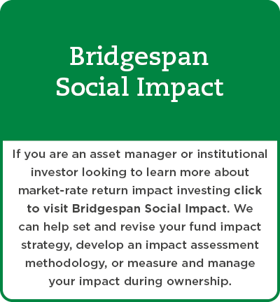 Bridgespan Social ImpactIcon