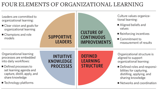 Chart: Four elements of organizational learning