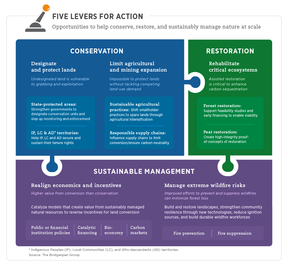 five-levers-for-action-graphic