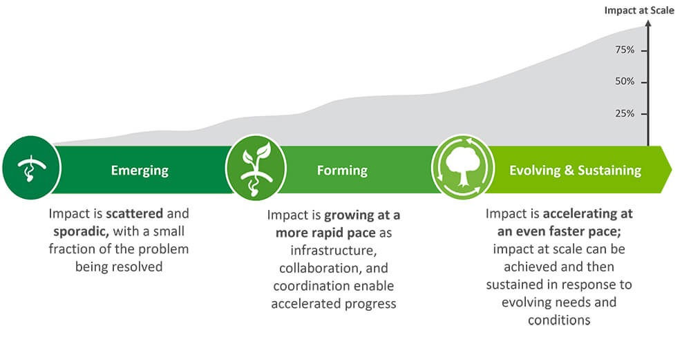 Three phases of field building: emerging, forming, evolving