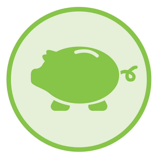 financial resilience icon