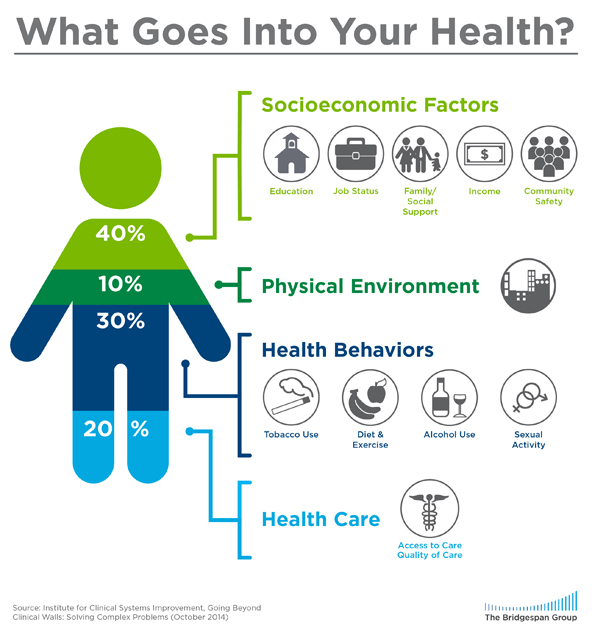 What Goes Into Your Health?