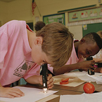 Students examining objects under magnifiers