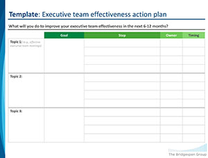 Action plan template