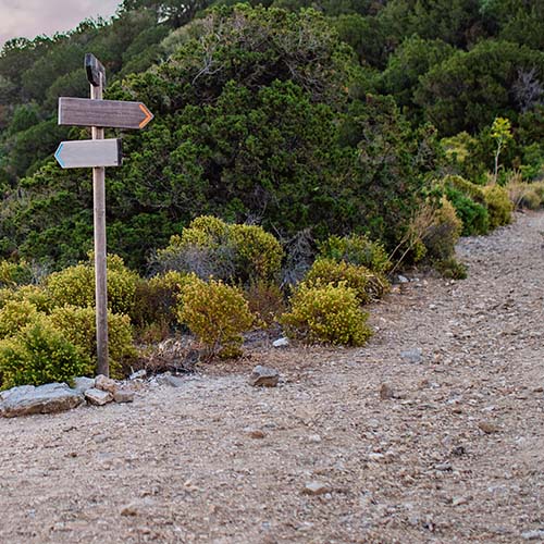 A signpost standing on the side of a hill